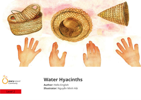 Water Hyacinths — illustrated by Nguyễn Minh Hải
