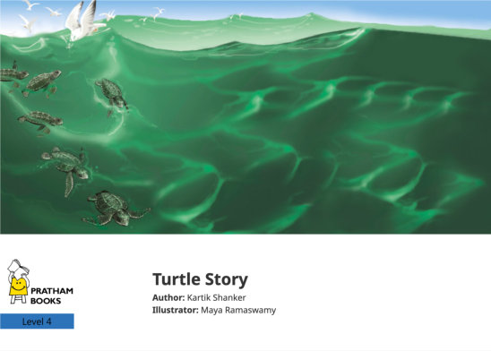 Turtle Story — illustrated by Maya Ramaswamy